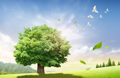 上海小程序开发公司案例上海澈然环保科技365bet